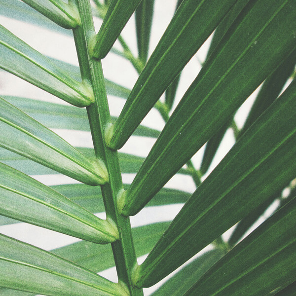 Exemple de campagne publicités